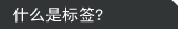 什么是标签？